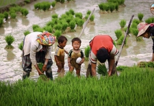 Vietnam Unleashed: 11-Day Motorbike Tour Of The North West And Central Loop 