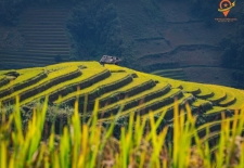 Hanoi To Mai Chau: 1-Day Mountain Adventure And Escape
