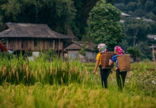 Vietnamese Vistas: A 4-Day Northwest Expedition