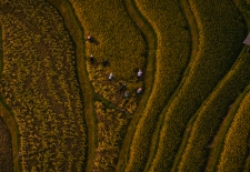 Vietnam Adventure 6-Day Tour To Northwest