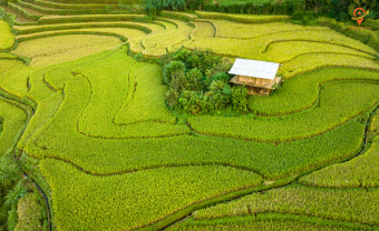 Full day: Hanoi - Mai Chau (170km/ Appro. 6 Hours)  (L)