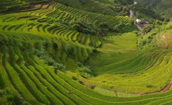 Day 5: MU CANG CHAI EXPLORATION (B/L/D)