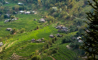 Day 4: TRAM TAU - MU CANG CHAI (B/L/D)