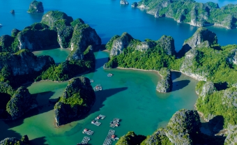 Day 4: Ninh Binh - Cat Ba Island - Lan Ha Bay (B/L/D)