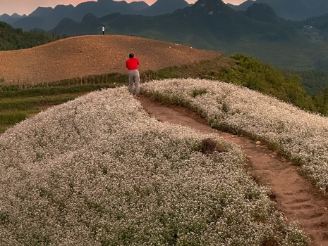 Mai Chau Mountain Escapade: 2-Day Adventure To Serenity