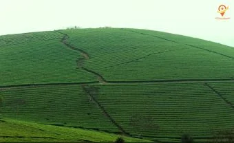 Day 2: DAY 2: Mai Chau - Pu Luong Nature Reserve - Ninh Binh  (B/L/D)