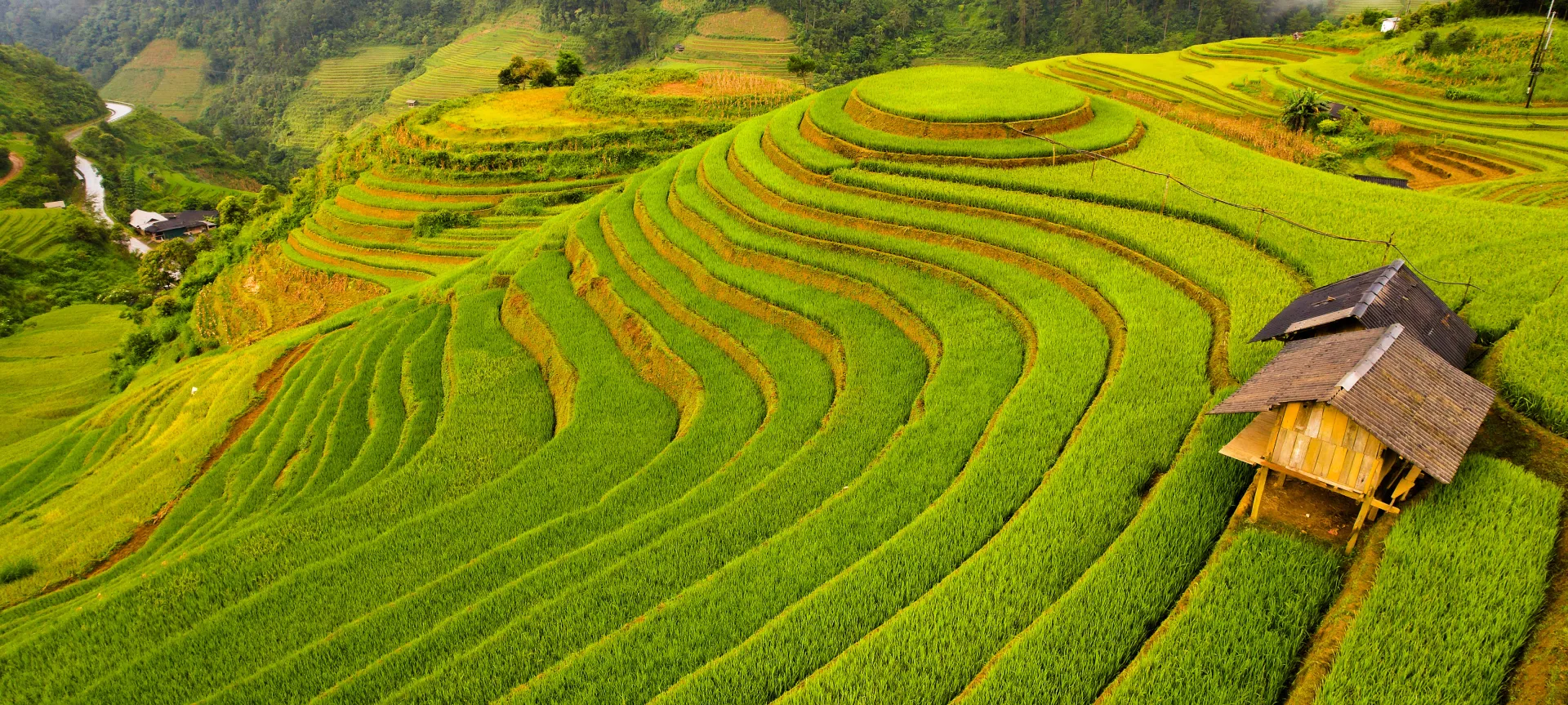 Mu Cang Chai