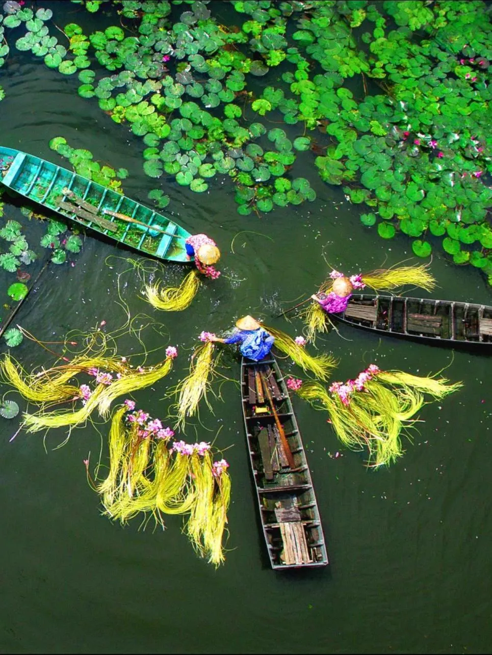 Vietnam Adventure Tour - 3 Day Trip To Mekong Delta